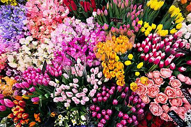 TGA玩家之声投票正式开启 《艾尔登法环》暂时领先